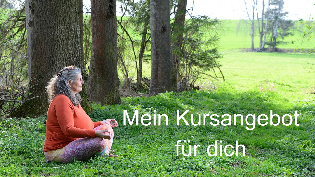 Meine Meditationskurse für dich